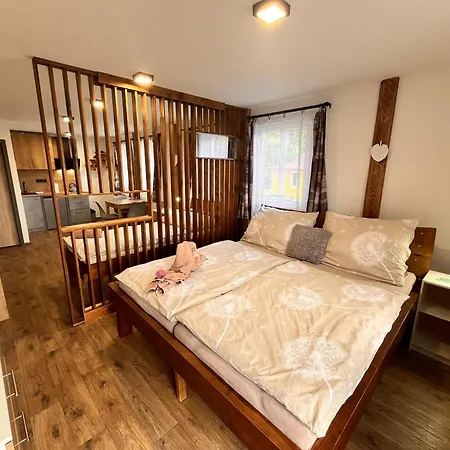 Pod Houbovym Vrchem 2 * Horní Planá